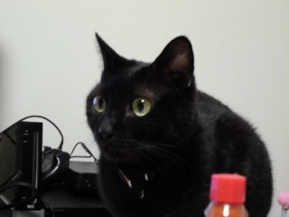 CIMG0014