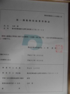 CIMG0056