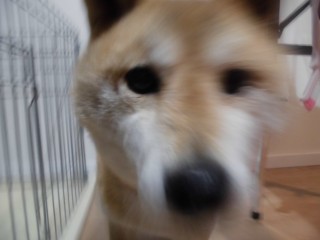 CIMG0466