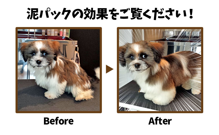 泥パックの効果